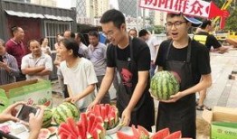 黑料视频免费网站入口 北京朝阳吃瓜群众网,北京朝阳吃瓜群众网独家入口曝光