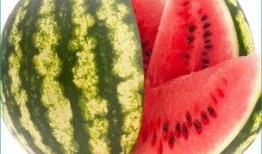 每日吃瓜,轻松掌握娱乐圈新鲜事